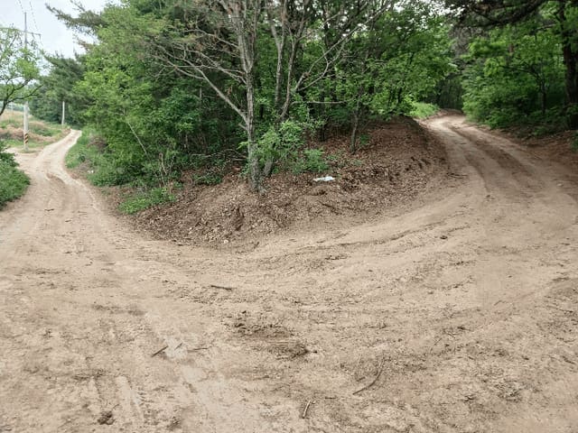 B0003172025013000034813.jpg