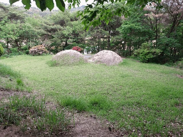 B0003172025013000034814.jpg