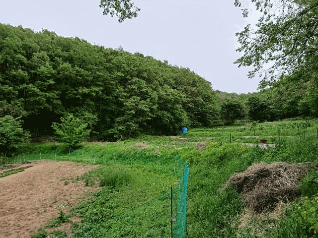 B0003172025013000034816.jpg