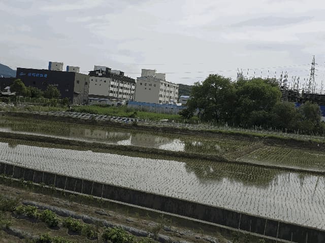 B000317202501300003594.jpg