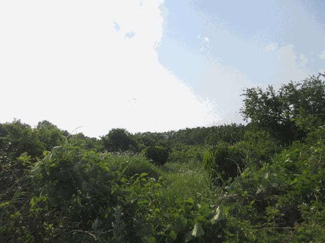 B000317202501300003614.jpg