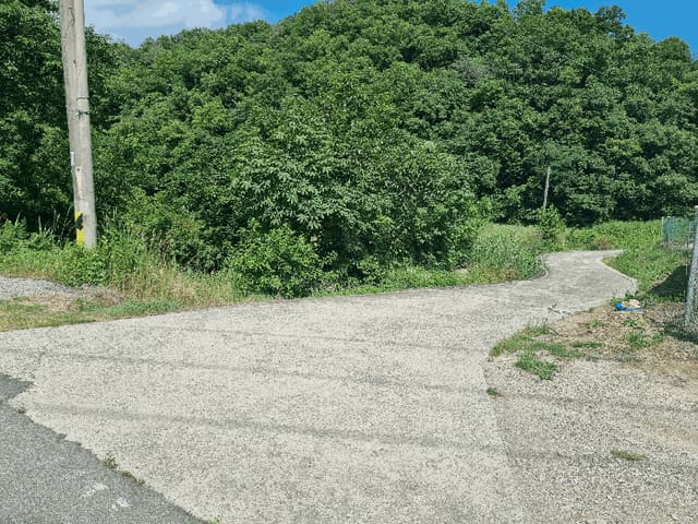 B000317202501300003763.jpg