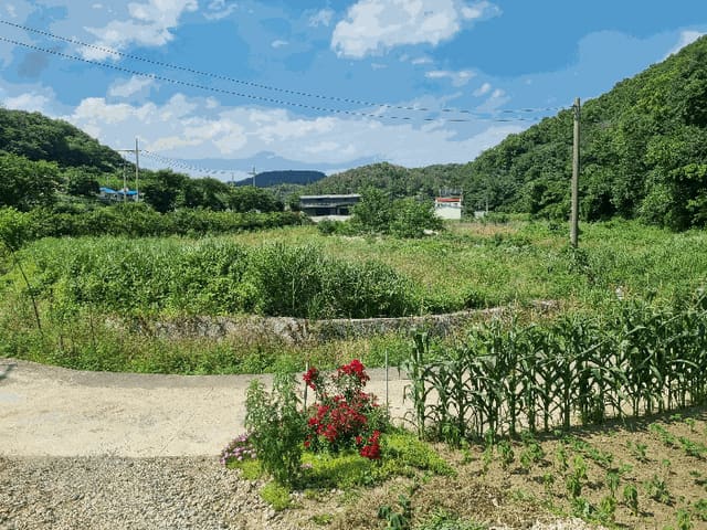 B000317202501300003764.jpg