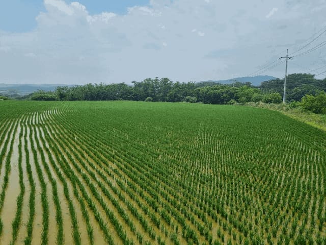 B000317202501300003863.jpg