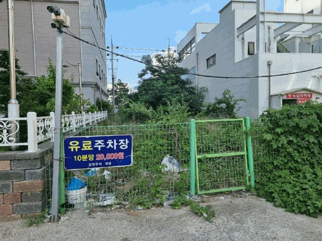 B000317202501300003984.jpg