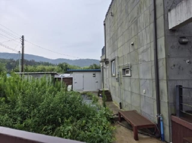 B000317202501300004011.jpg