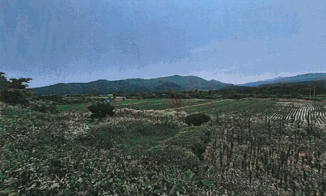 B000317202501300004114.jpg