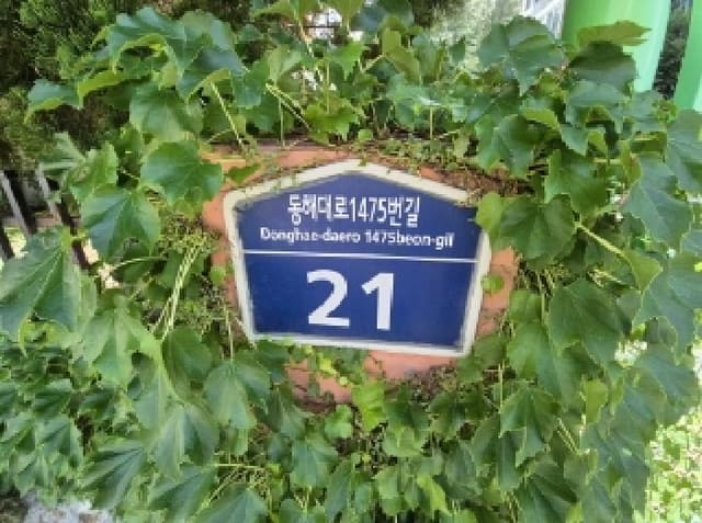 B000317202501300004132.jpg