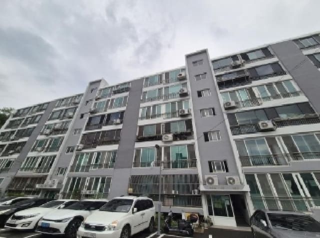 B000317202501300004241.jpg