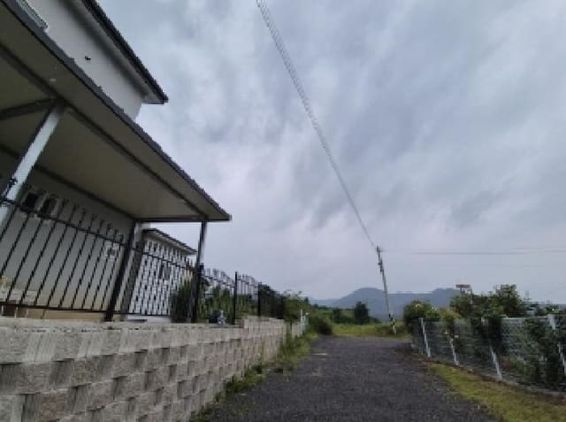 B000317202501300004264.jpg