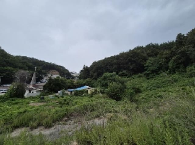 B000317202501300004362.jpg