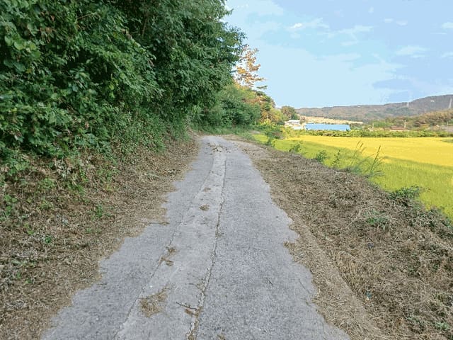 B0003172025013000052715.jpg