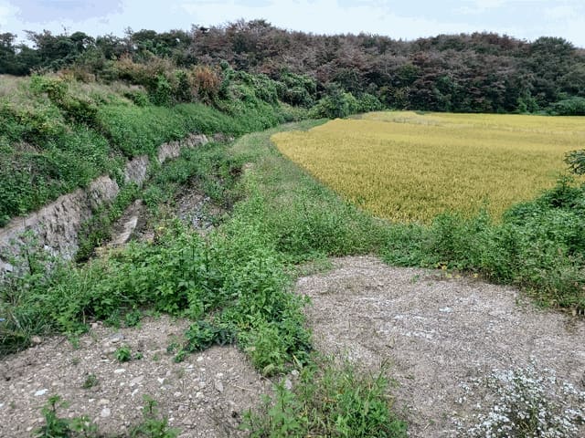 B0003172025013000052716.jpg