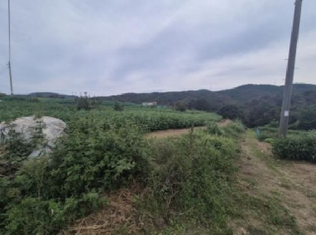 B000317202501300005273.jpg