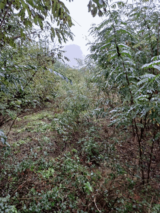 B000317202501300005374.jpg