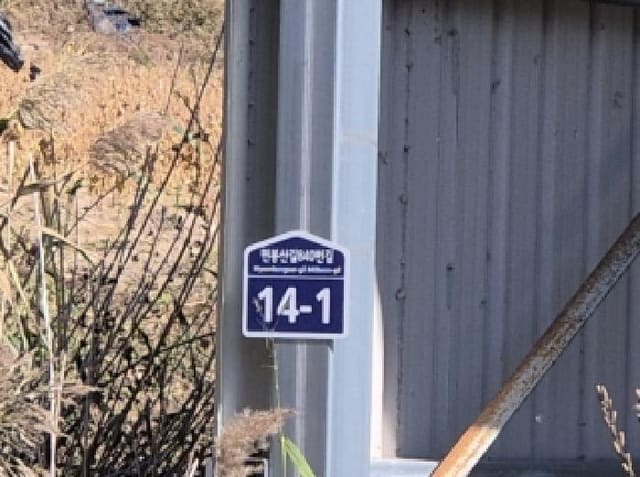 B000317202501300005421.jpg
