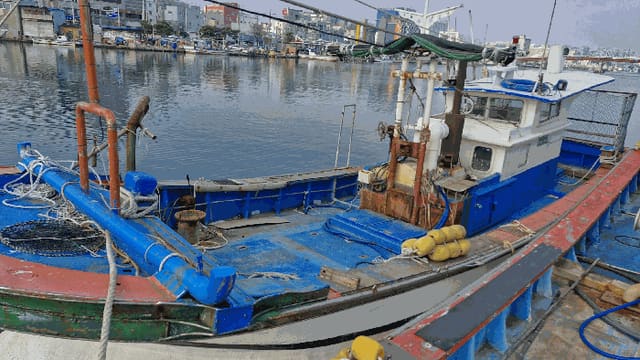 B000317202501300005762.jpg