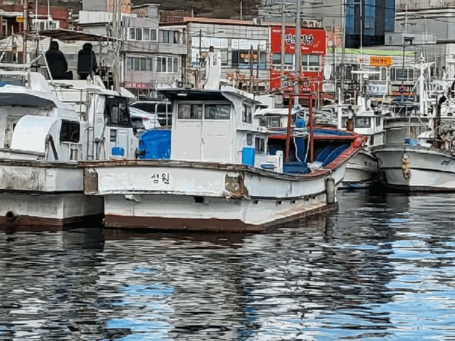 B000317202501300005832.jpg