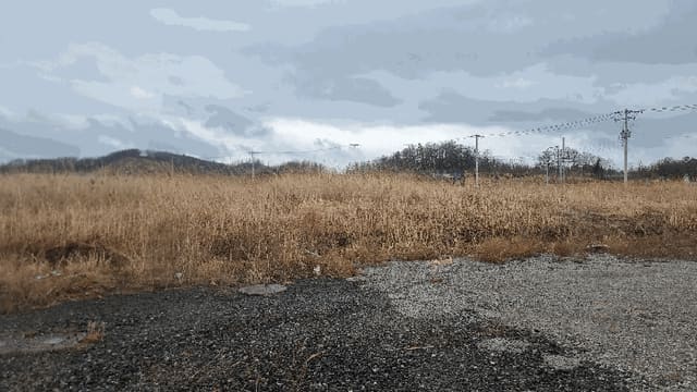 B000317202501300036062.jpg