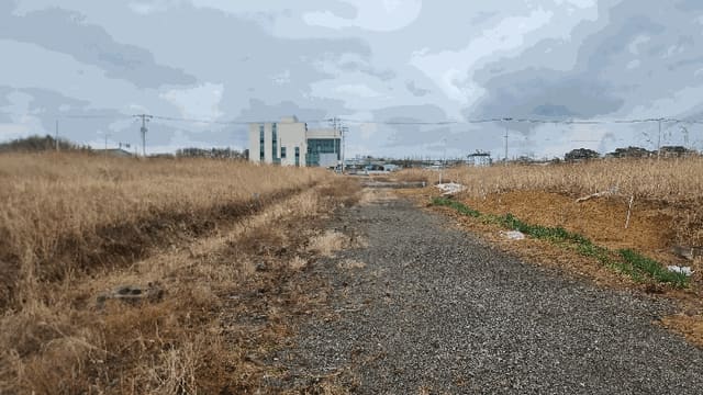 B000317202501300036064.jpg