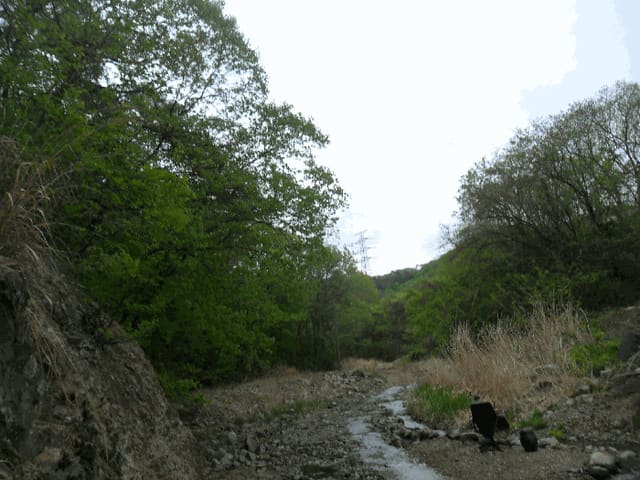 B000317202501300036394.jpg