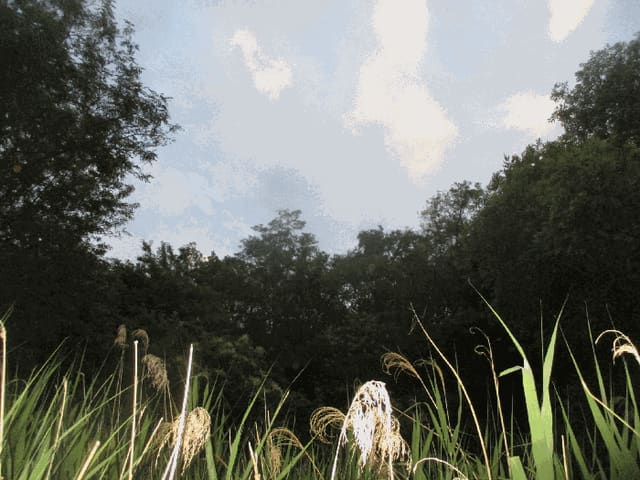B000317202501300036844.jpg