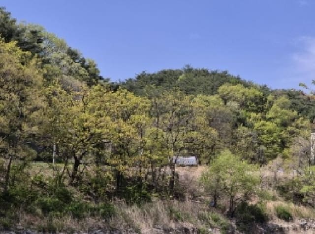 B000317202501300036841.jpg