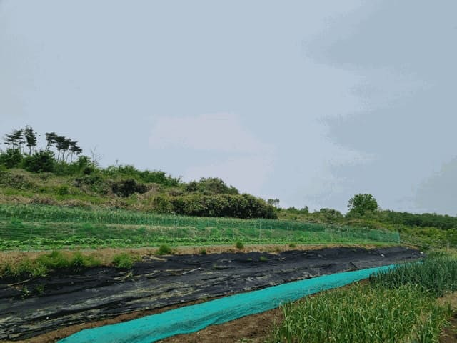 B000317202501300036894.jpg