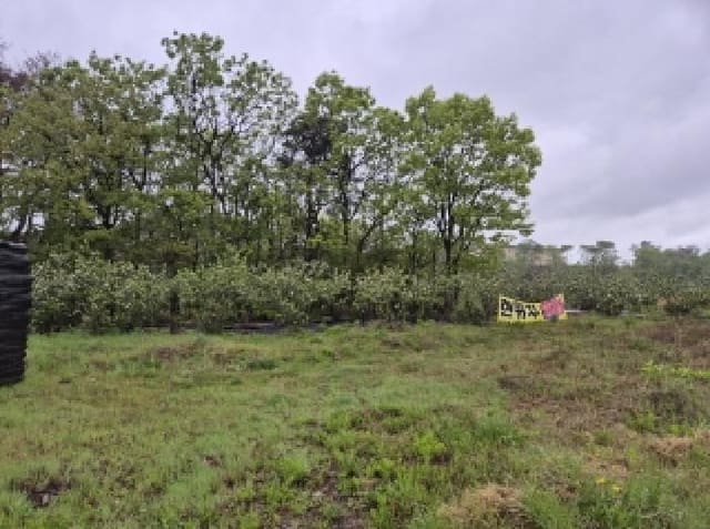 B000317202501300037131.jpg