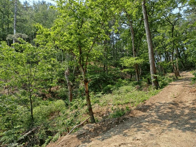 B000317202501300037804.jpg