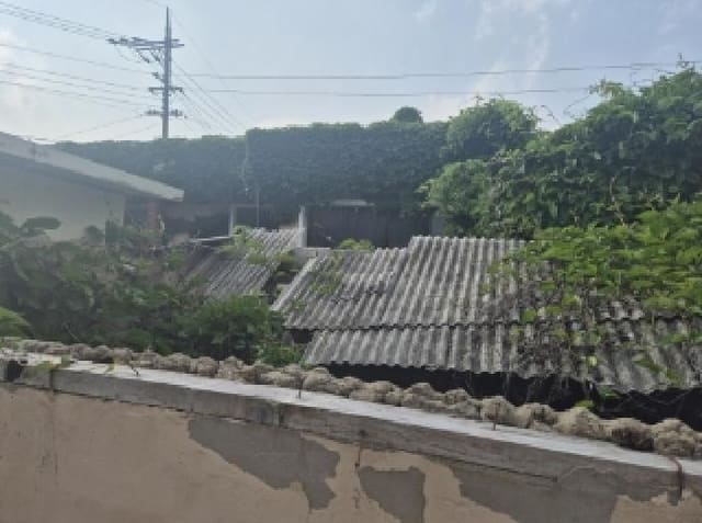 B000317202501300037984.jpg