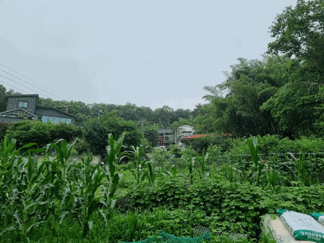 B000317202501300038193.jpg