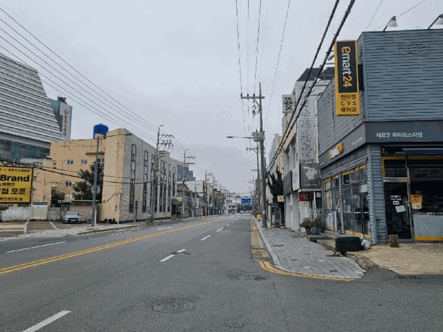 B000317202501300038224.jpg