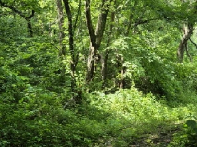 B000317202501300038472.jpg