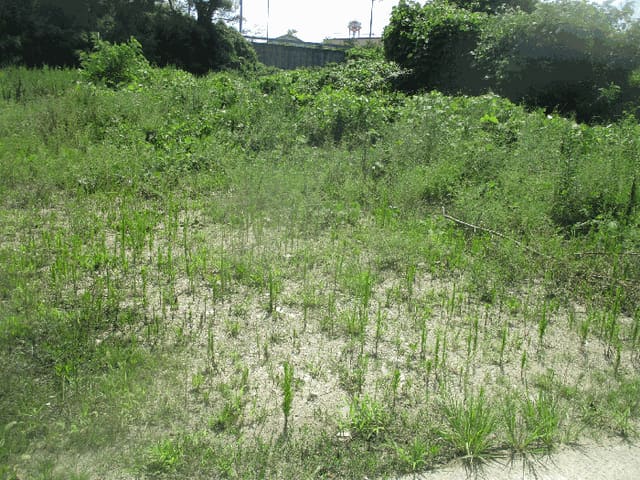 B000317202501300038674.jpg