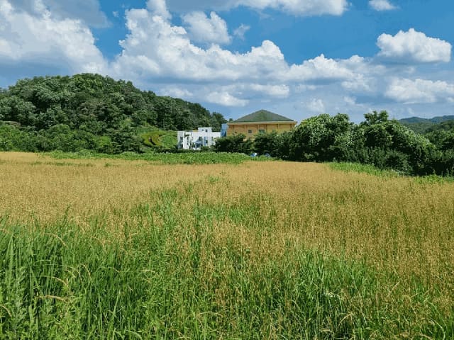 B000317202501300038914.jpg