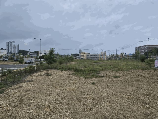 B000317202501300039154.jpg