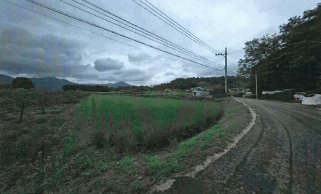B000317202501300039503.jpg