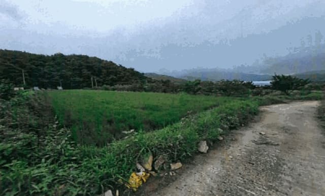 B000317202501300039504.jpg