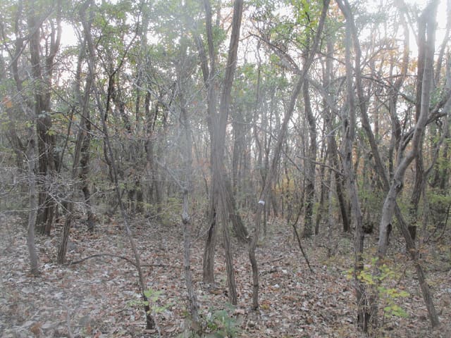 B000317202501300040234.jpg