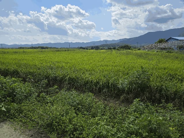 B000317202501300040854.jpg