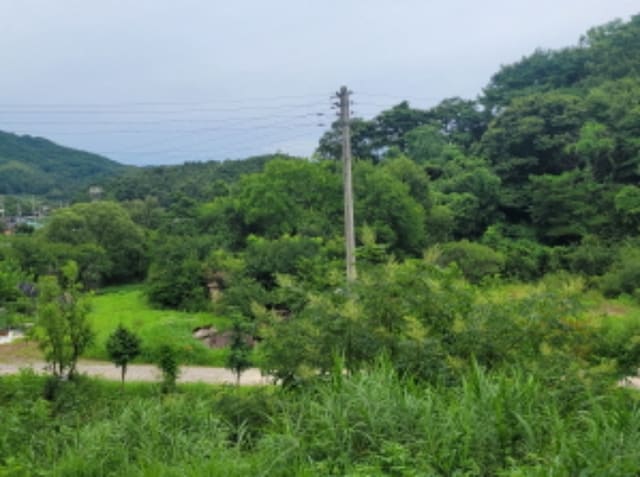 B000320202401300026754.jpg