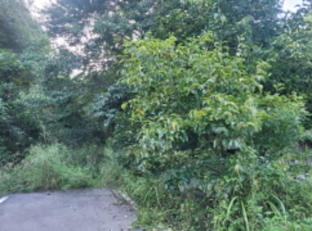 B000320202401300389023.jpg