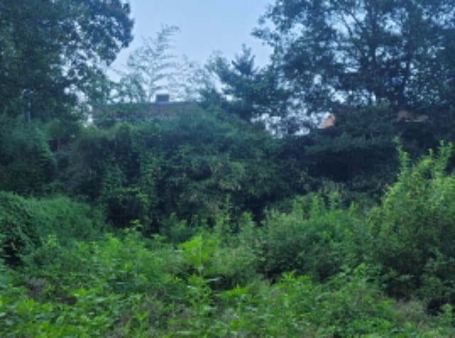 B000320202401300389021.jpg
