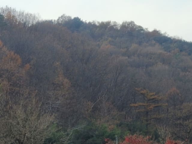 B000320202401300419773.jpg
