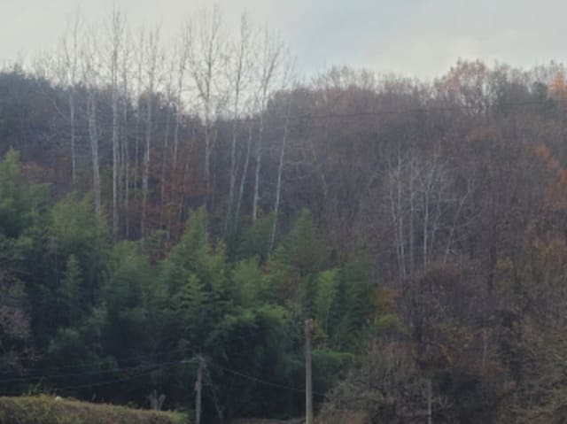 B000320202401300419772.jpg