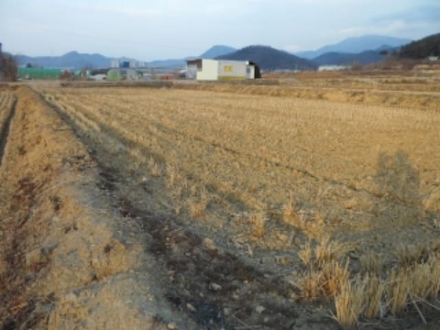 B000320202401300449522.jpg
