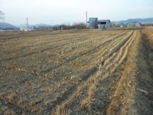 B000320202401300449523.jpg