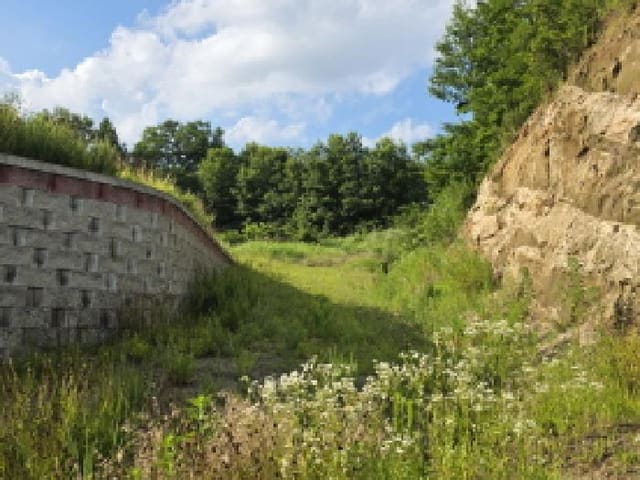 B000320202501300013342.jpg
