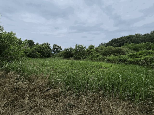 B000320202501300017094.jpg
